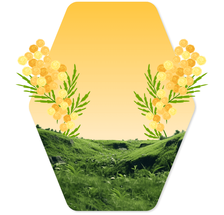 Product BG | Image